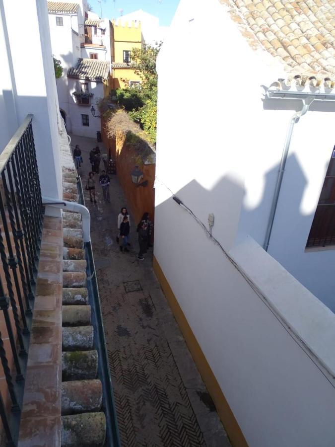 The Wall Of The Alcazar Palace Seville Exterior photo